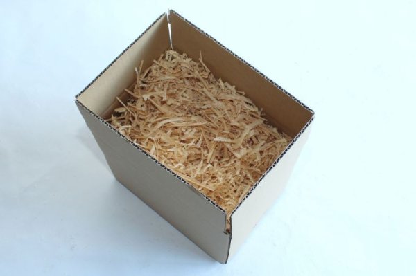 画像1: 箱入0.5kgヒバアラアンナ (1)