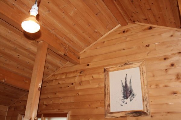 画像3: 「巾木材・見切り材・額縁材」天然木青森ヒバ (3)