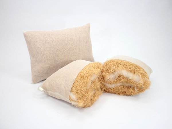 画像4: 大サイズ「快眠 糸ヒバ枕」 (4)