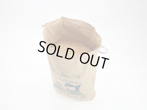 画像2: 「ガーデニング専用ヒバチップ」 青森ヒバ (2)