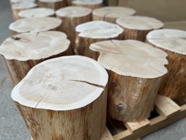 画像6: 天然木スツール「どんころ」 数量限定! (6)