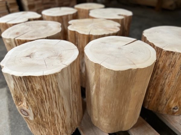 画像5: 天然木スツール「どんころ」 数量限定! (5)