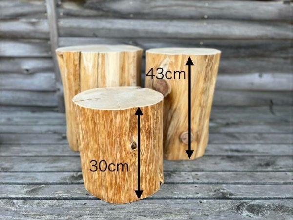 画像4: 天然木スツール「どんころ」 数量限定! (4)