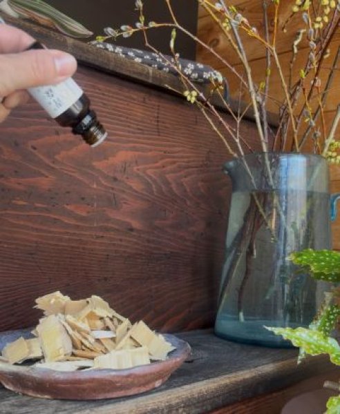 画像3: 精油「アロマオイル」青森ヒバ100%　【チップ小袋付き】 (3)