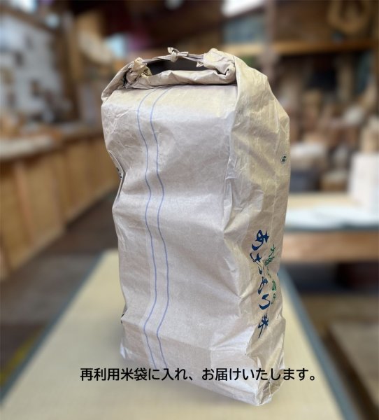 画像3: 青森ヒバの「薪~Firewood」 (3)