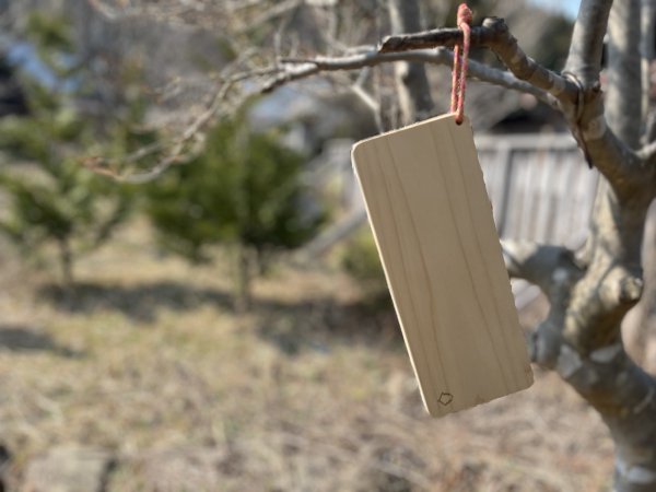 画像5: キャンプ専用「まな板」コンパクトで便利！青森ヒバ製 (5)