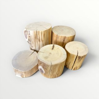 ☆限定商品☆ - わいどの木オンラインショップ